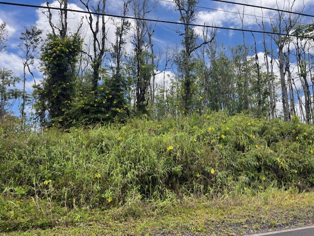 16-2143 Lot 71 Tradewind Drive Pahoa, HI 96778 - Photo 5 of 10 a view of a yard