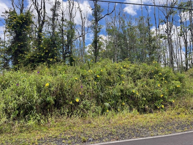 16-2143 Lot 71 Tradewind Drive Pahoa, HI 96778 - Photo 6 of 10