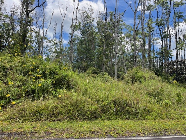 16-2143 Lot 71 Tradewind Drive Pahoa, HI 96778 - Photo 7 of 10 a view of a garden