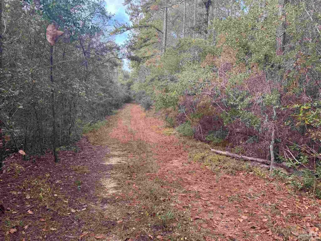 $150,000 | 0 Ryan Road, Crestview, FL 32539