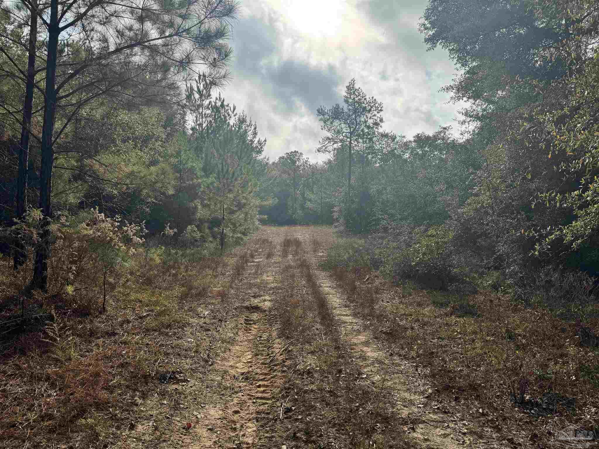 0 Ryan Road Crestview, FL 32539 - Photo 2 of 4