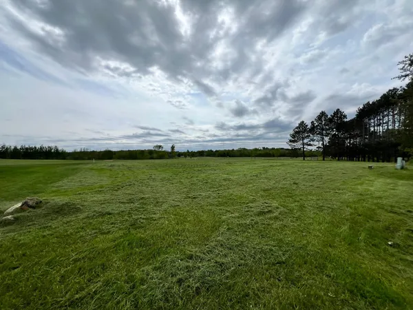 $43,900 | Lot 7 Congdon, Coleraine, MN 55722