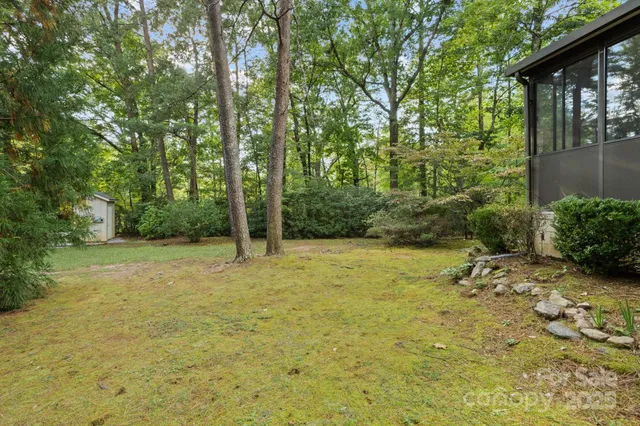 a view of a yard with trees