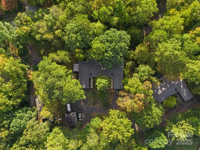 a plant that is in a garden