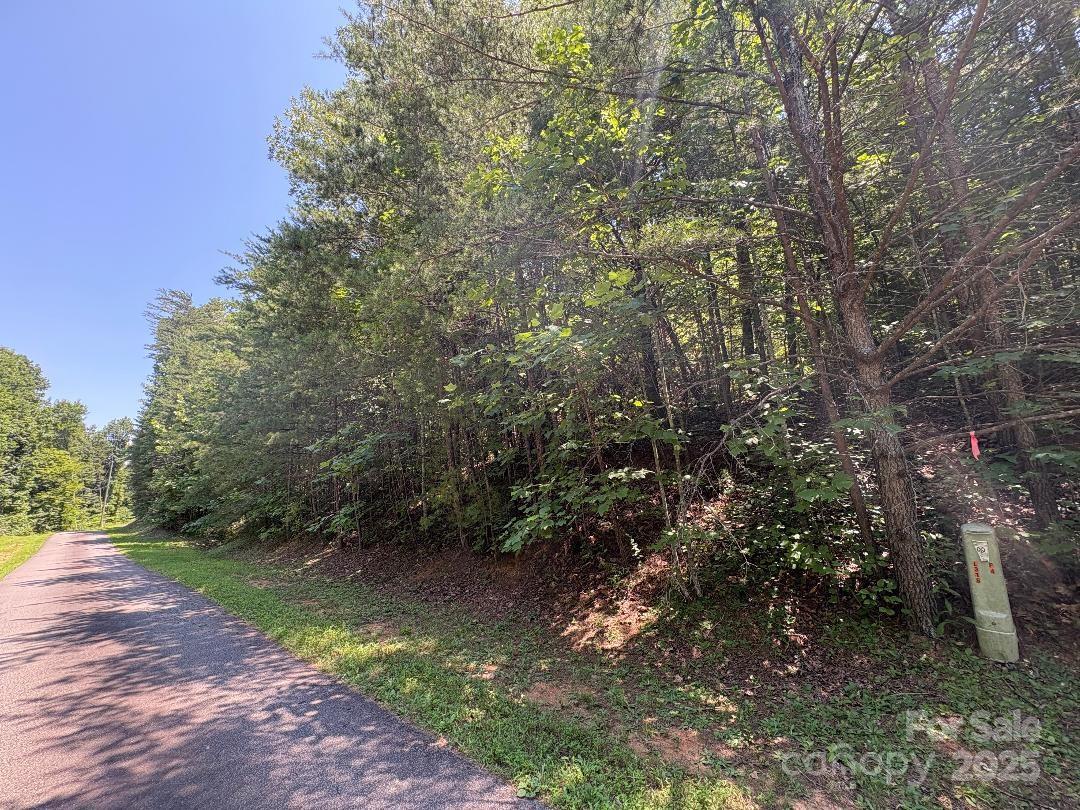 Lot 13 Wild Flower Way Marion, NC 28752 - Photo 11 of 16 a big yard with lots of green space and house