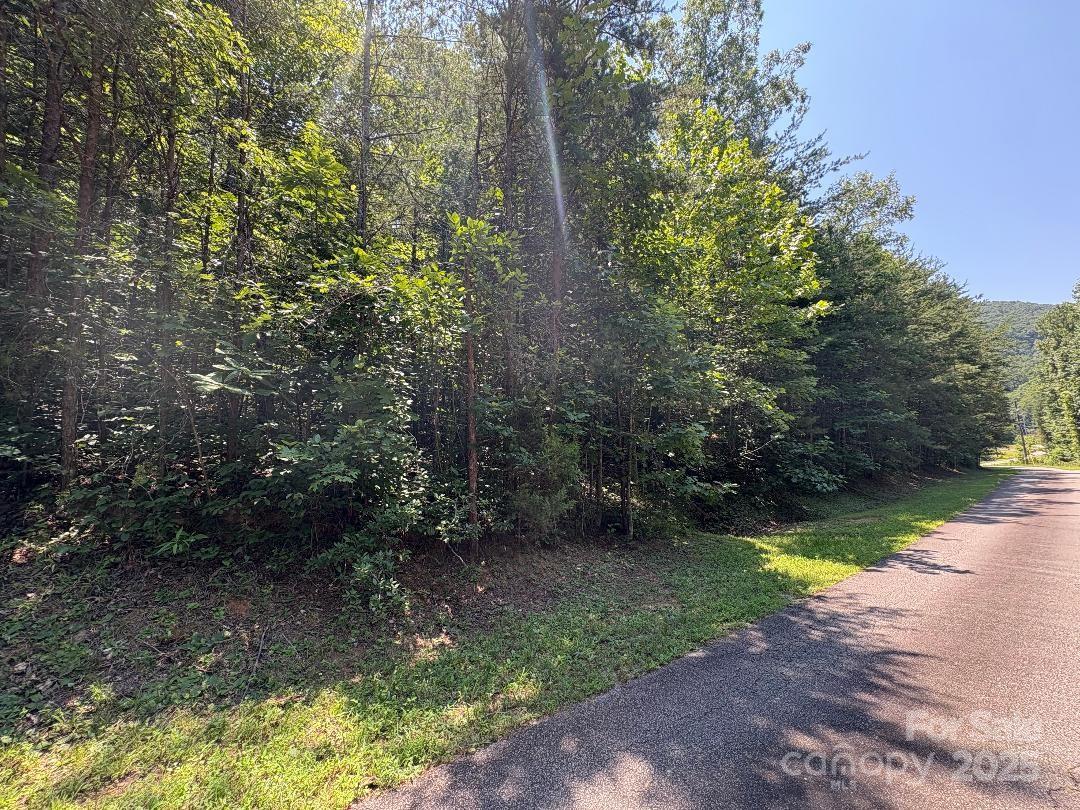 Lot 13 Wild Flower Way Marion, NC 28752 - Photo 2 of 16 a view of outdoor space and yard