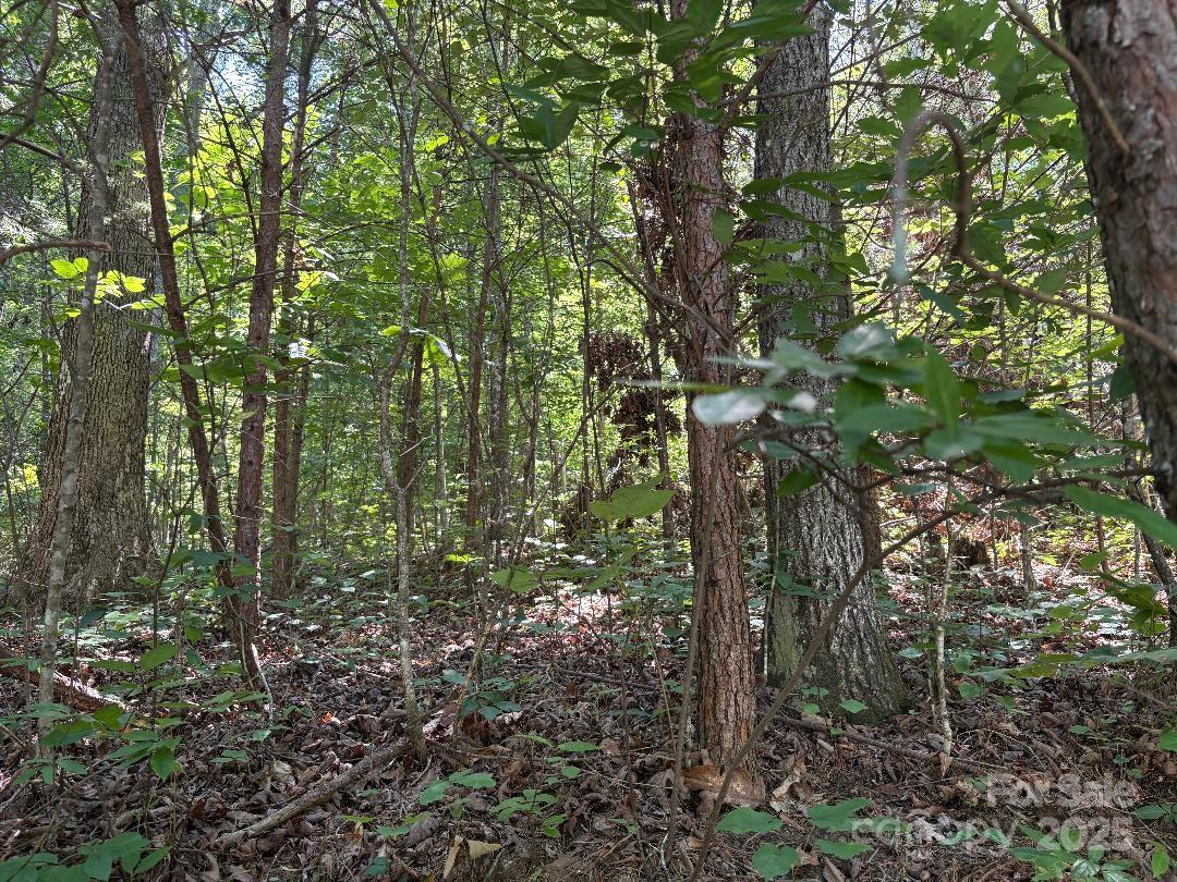 Lot 13 Wild Flower Way Marion, NC 28752 - Photo 8 of 16