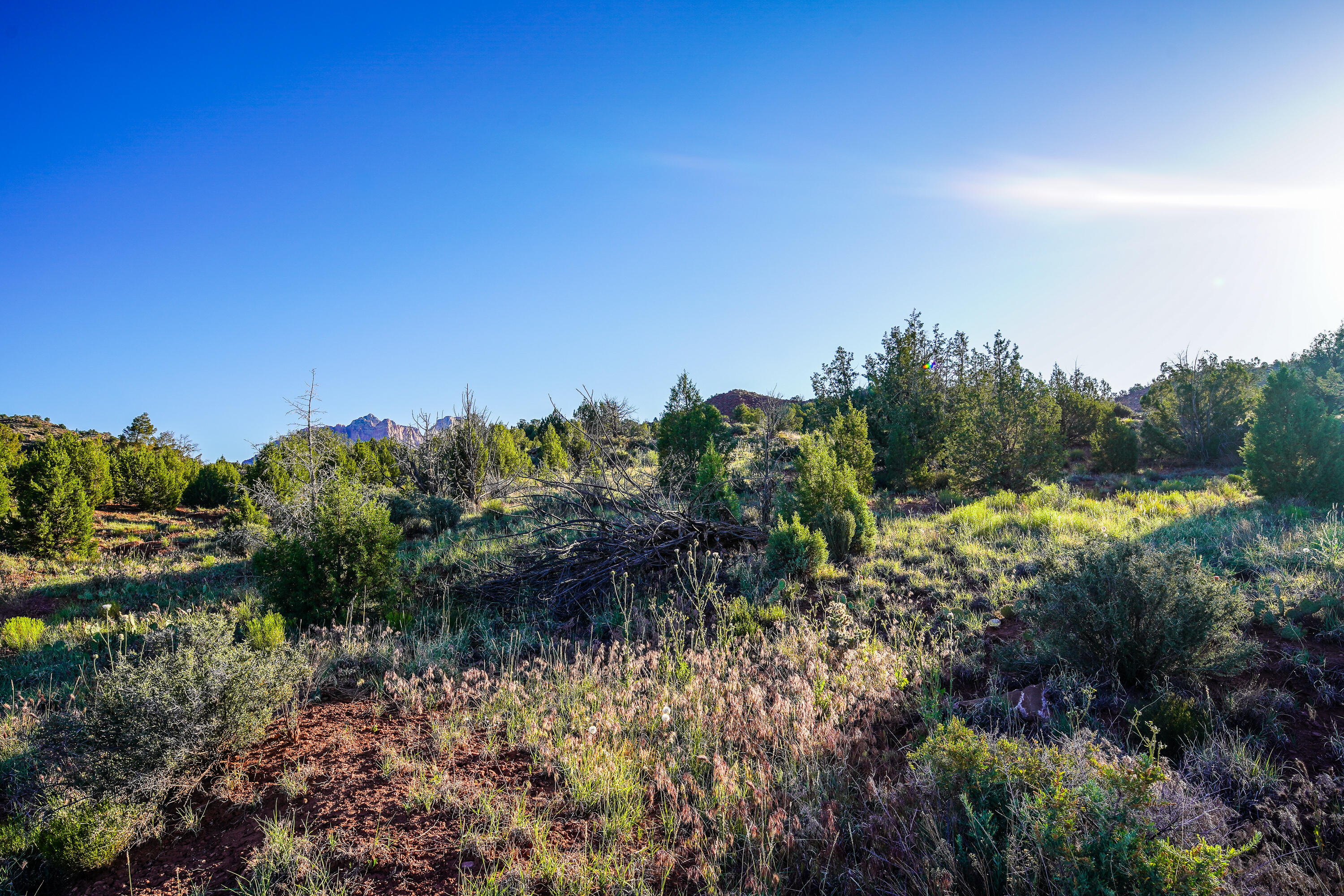 Carmel Road Rockville, UT 84763 - Photo 49 of 53 20260512-DSC03070