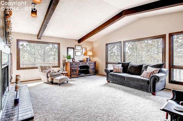1200 Pine Ridge Road Woodland Park, CO 80863 - Photo 7 of 23 Gallery Image 7