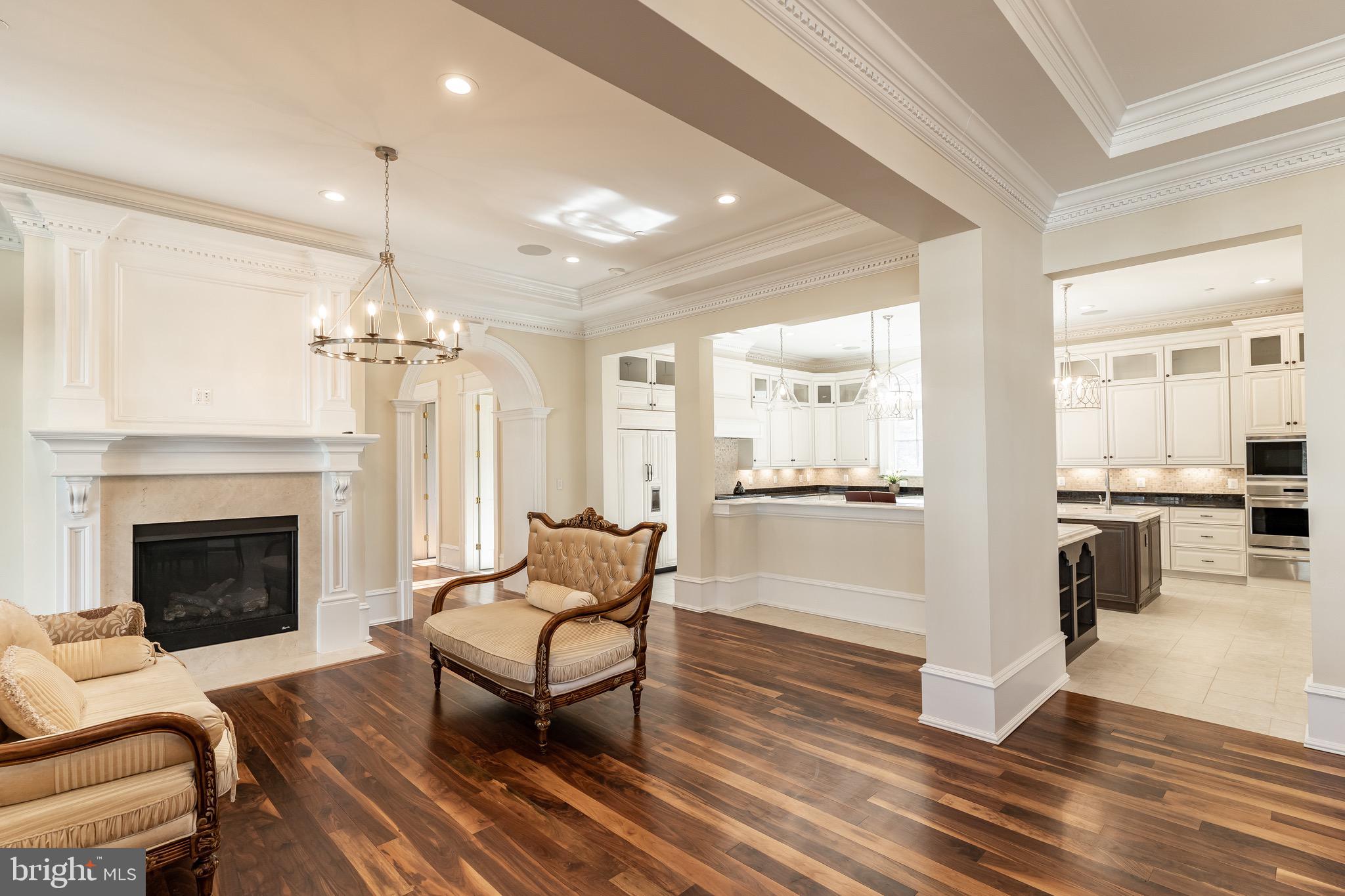 10110 Chapel Road Potomac, MD 20854 - Photo 12 of 28 a living room with furniture and a fireplace