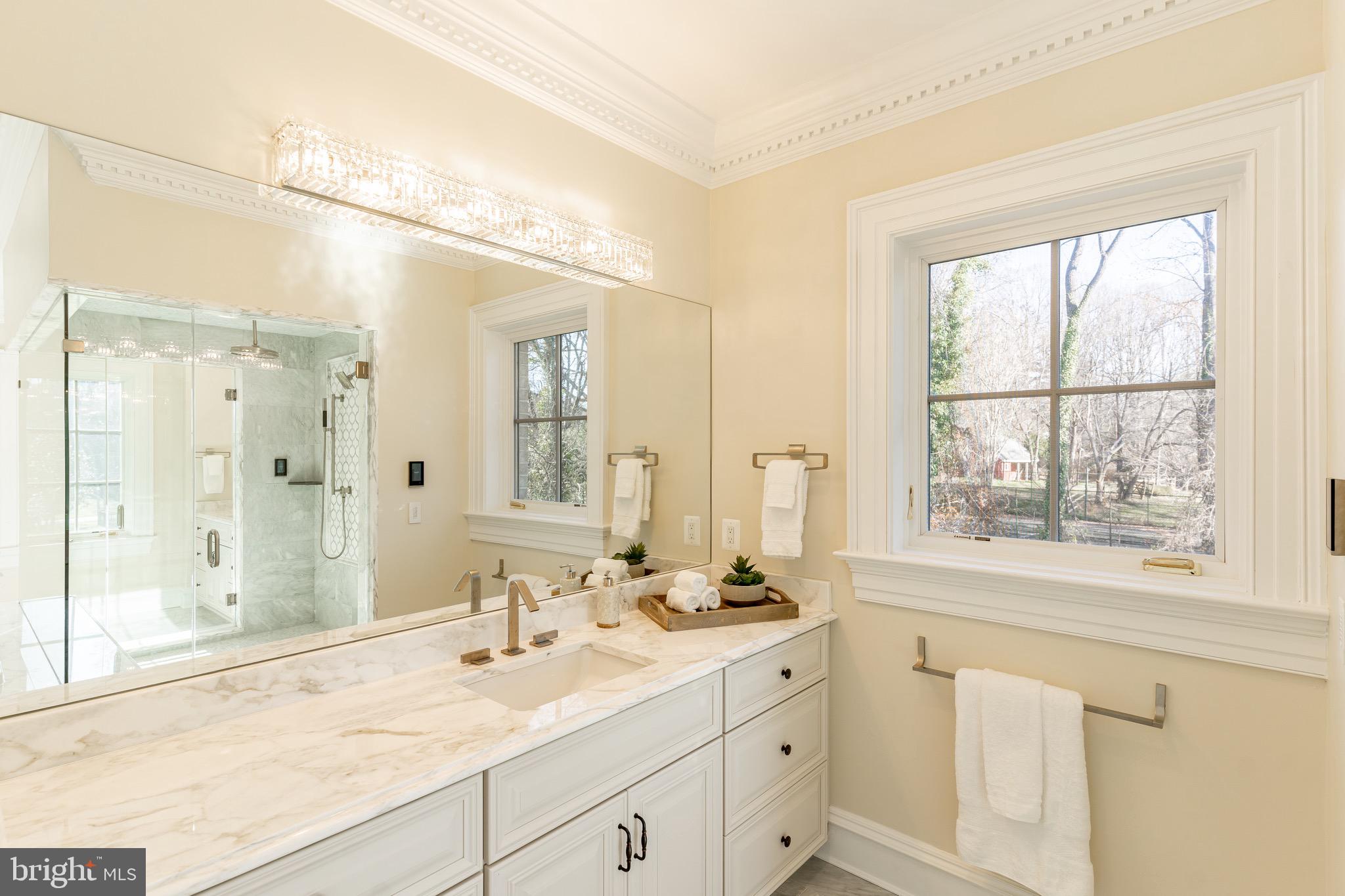 10110 Chapel Road Potomac, MD 20854 - Photo 18 of 28 a bathroom with a sink mirror and a shower