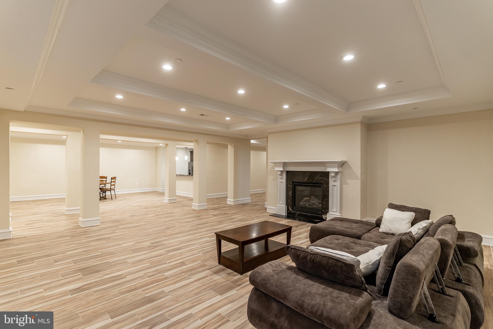10110 Chapel Road Potomac, MD 20854 - Photo 24 of 28 a living room with furniture and a fireplace