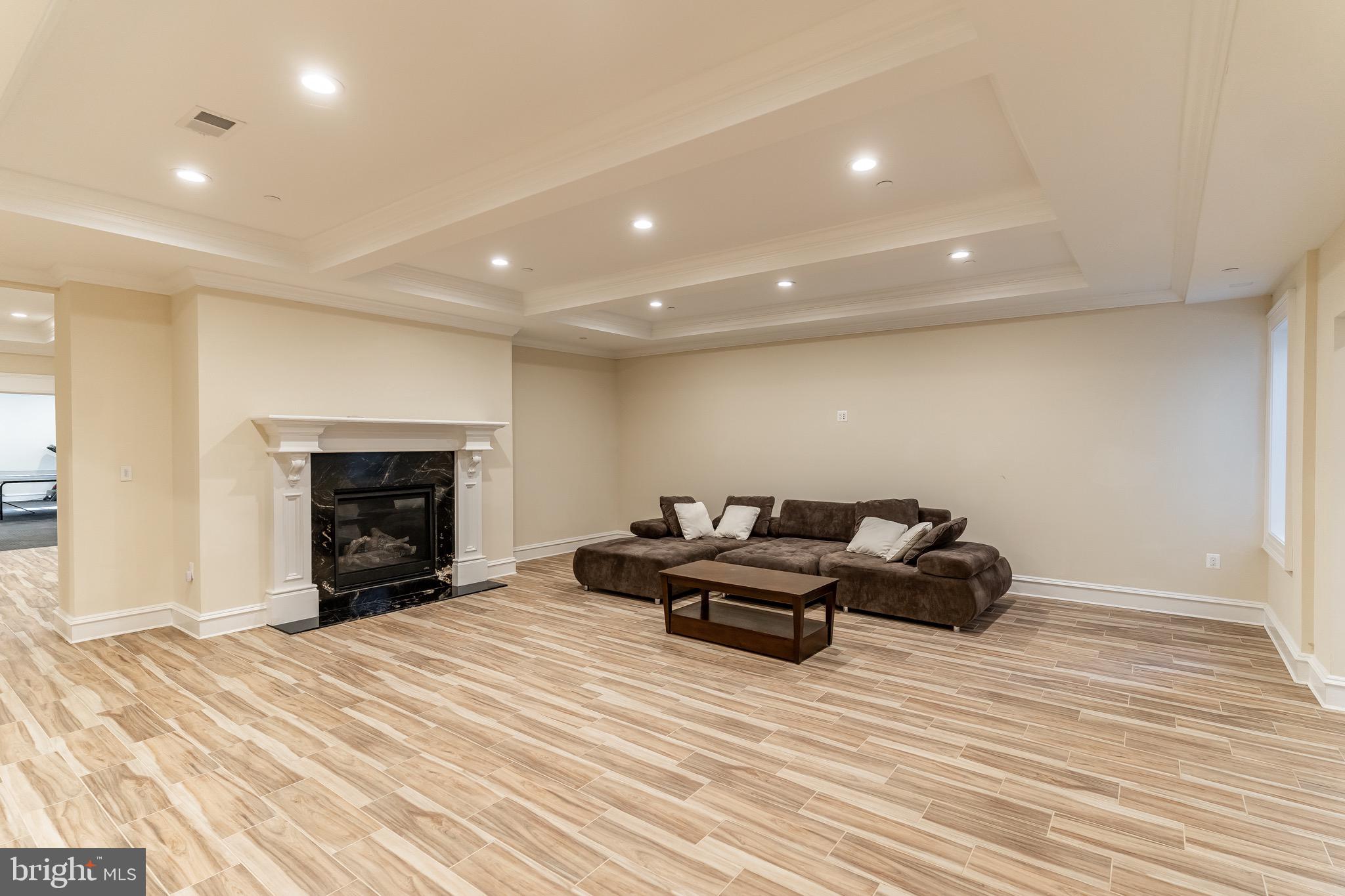 10110 Chapel Road Potomac, MD 20854 - Photo 26 of 28 a living room with furniture and a fireplace