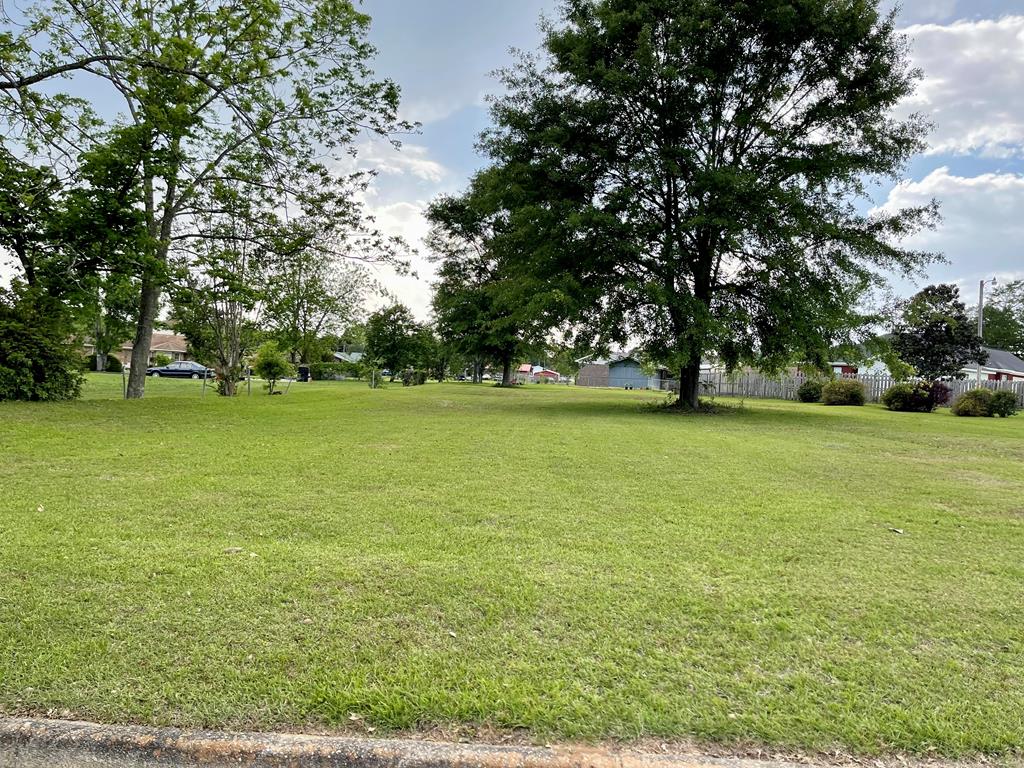 0 Springfield Lane Dothan, AL 36303 - Photo 1 of 1