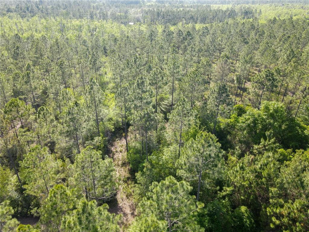 5015 Wood Duck Branch Road Blackshear, GA 31516 - Photo 12 of 12