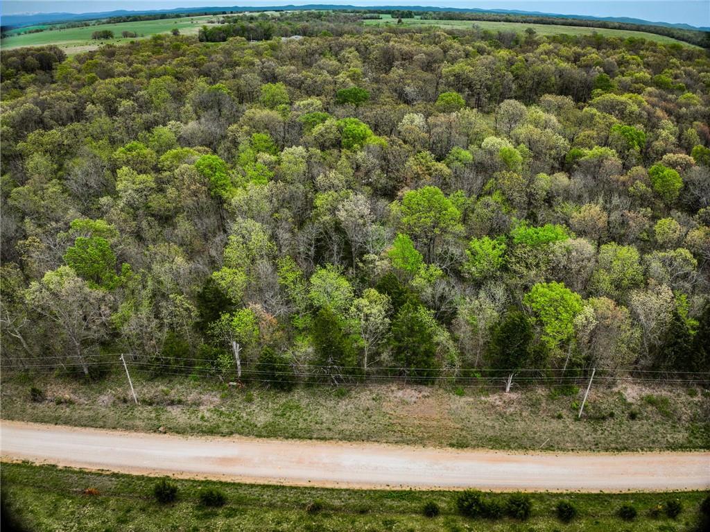 Lot 2 South 725 Road Stockton, MO 65785 - Photo 37 of 48