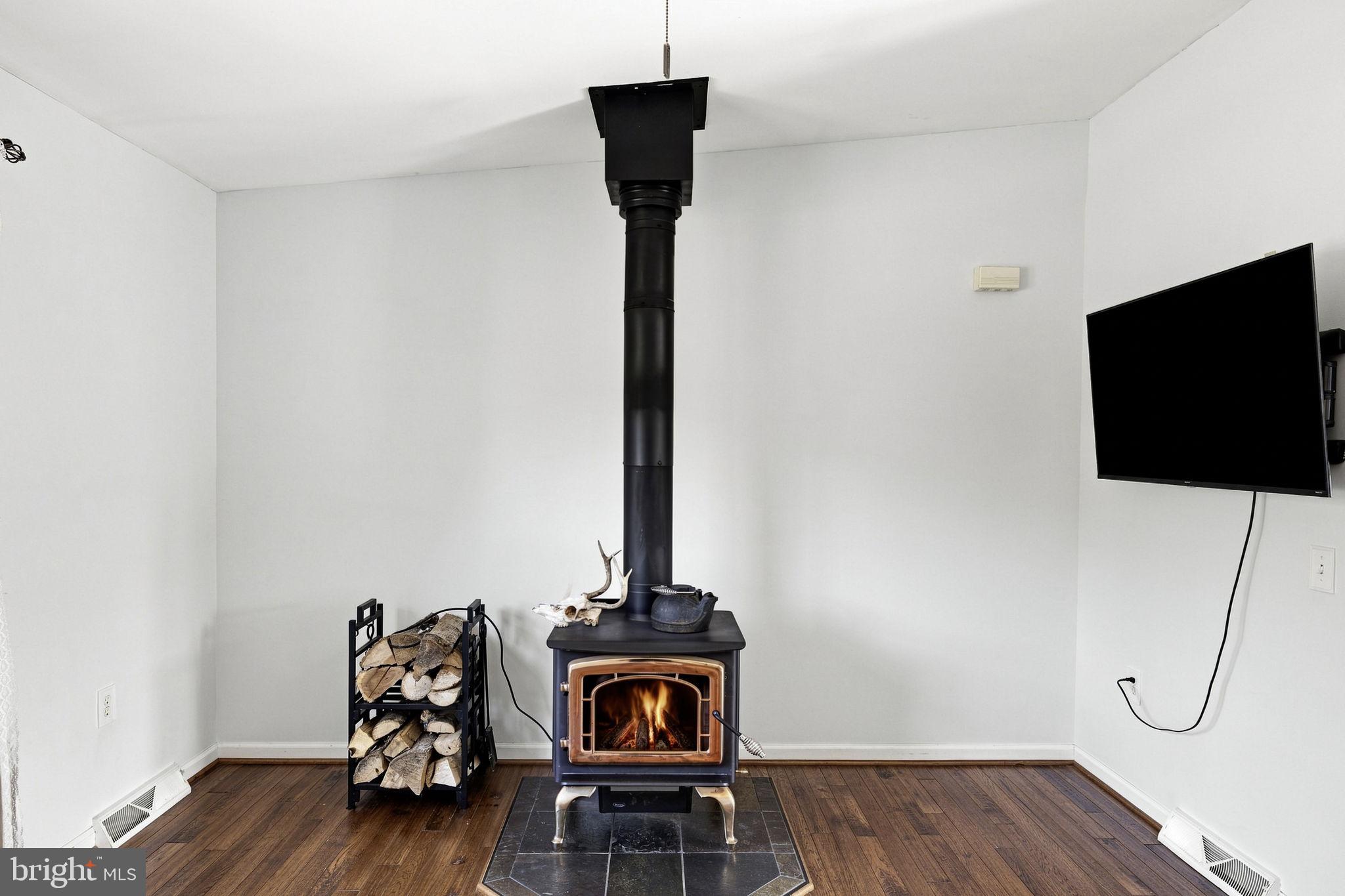Wood Stove in Family Room