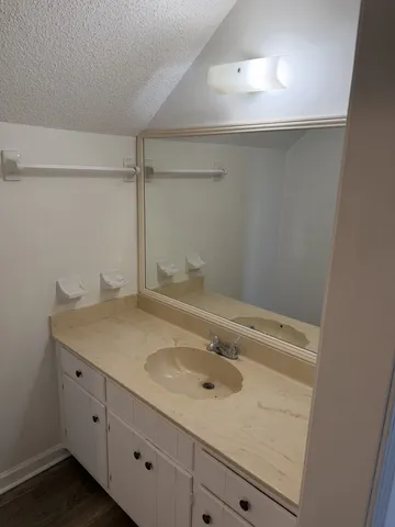 a bathroom with a sink and vanity