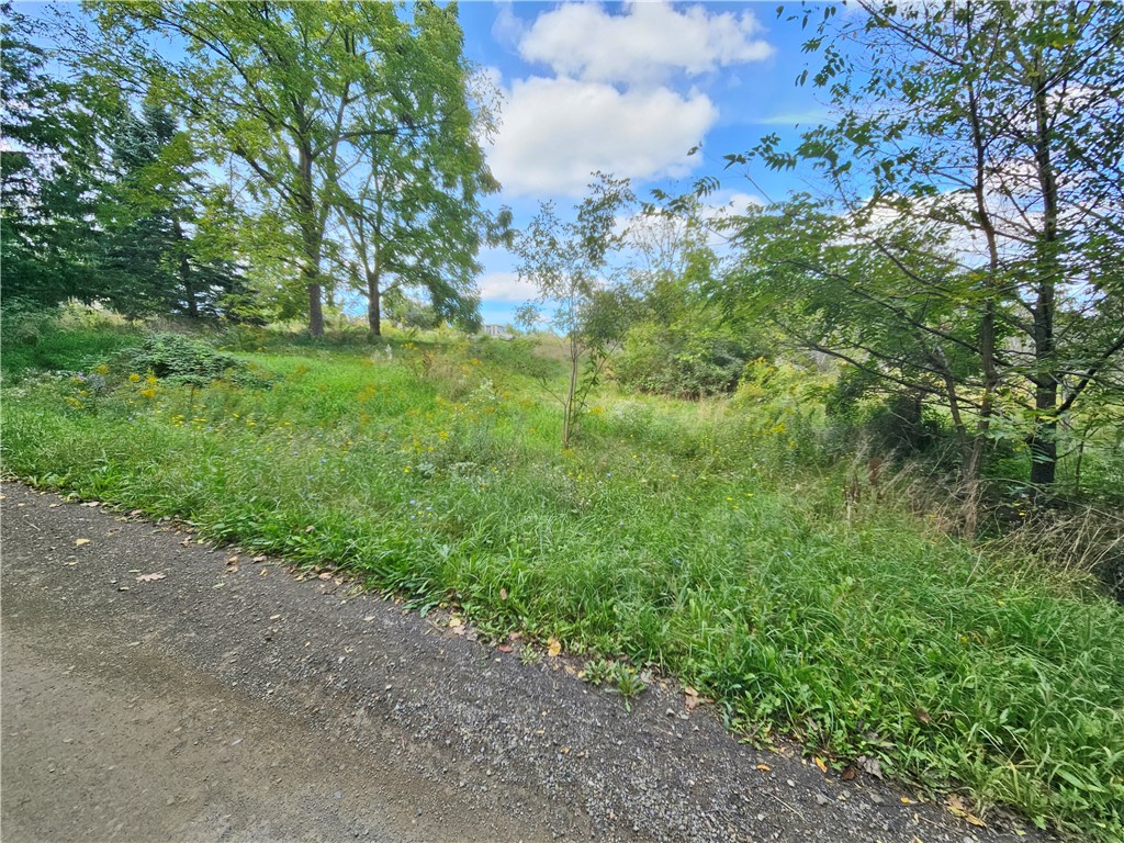 8237 Ford Road Pulteney, NY 14418 - Photo 40 of 48 Gallery Image 40