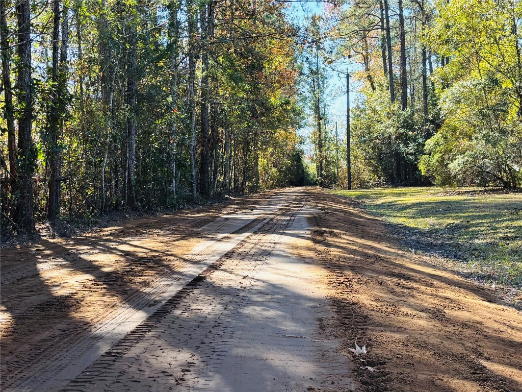 65094 Logan Road Yulee, FL 32097 - Photo 38 of 38 a view of a yard with large trees