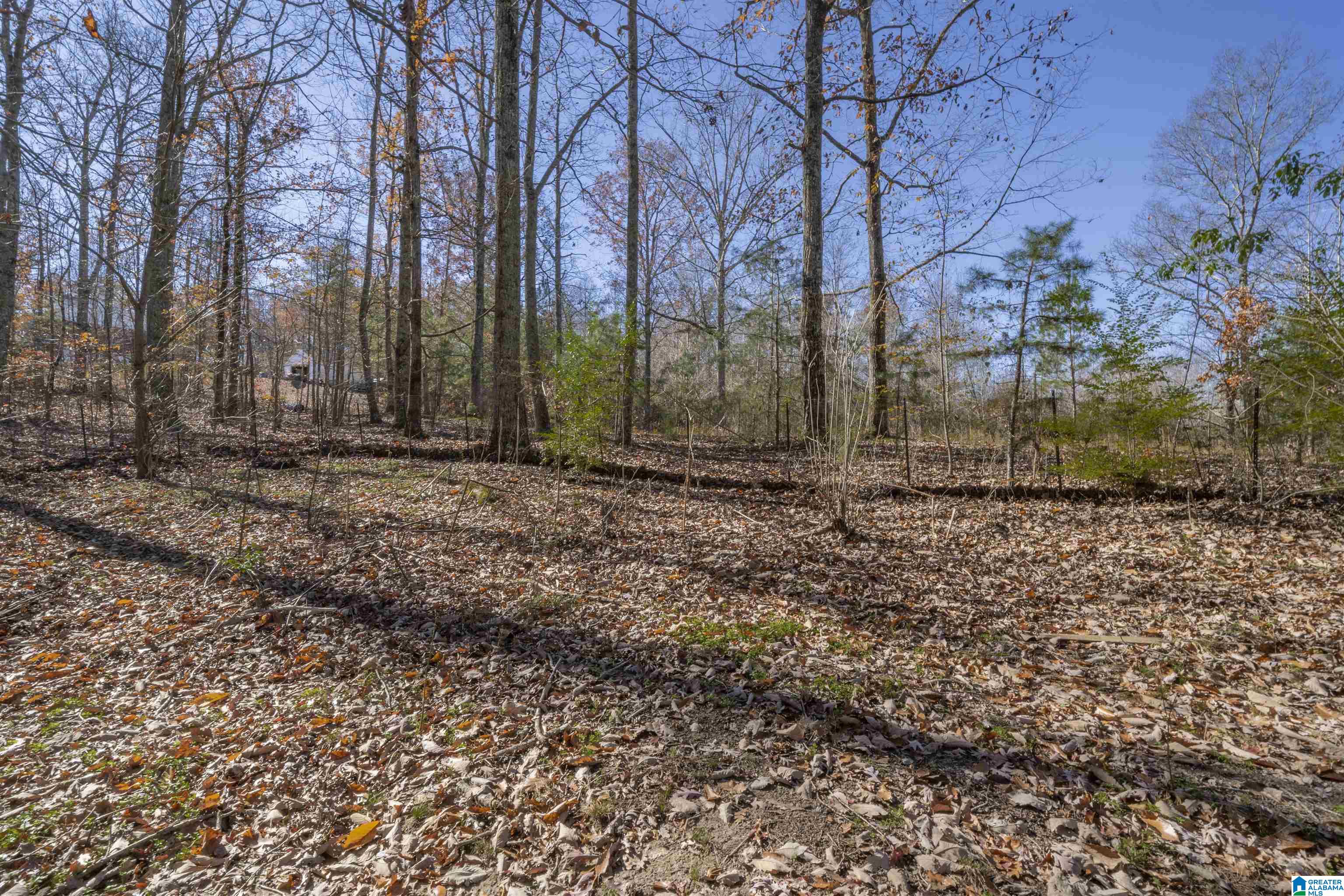 1525 Rock Springs Road Warrior, AL 35180 - Photo 33 of 38