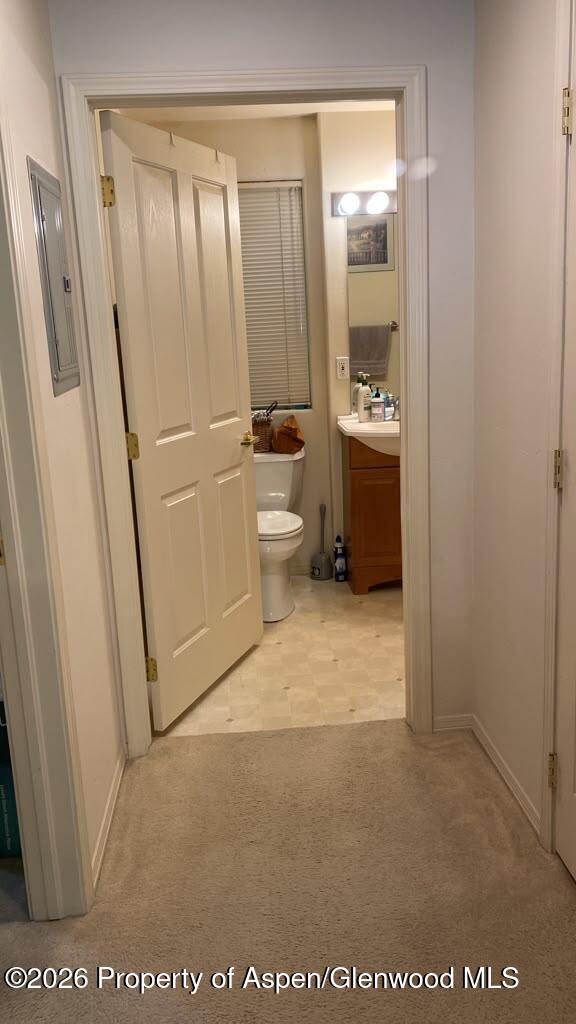 1400 East Valley Road, Unit 1 Basalt, CO 81621 - Photo 3 of 7 IMG_6545