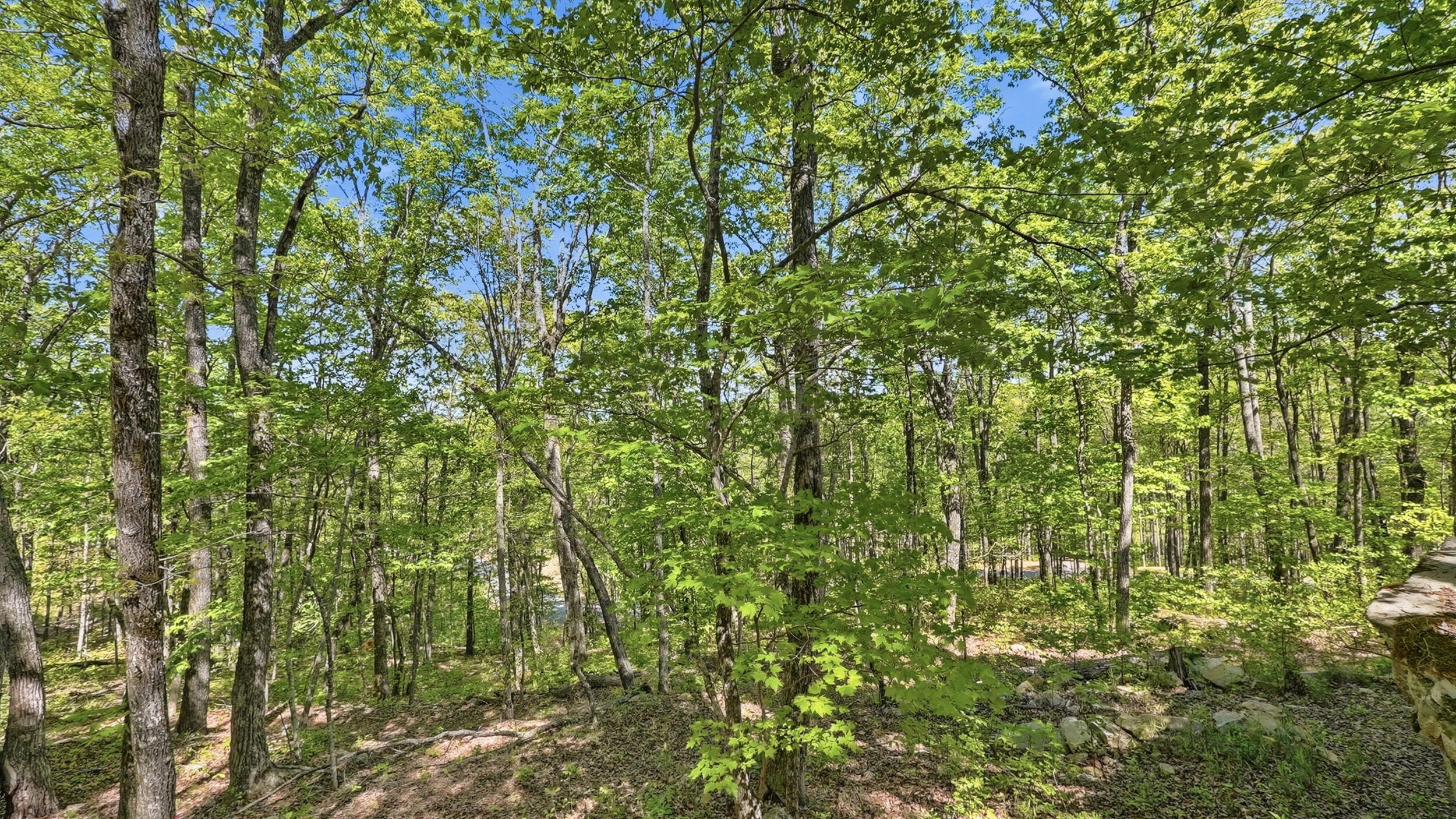 0 Worley Road, Unit LOT 43 Soddy-Daisy, TN 37379 - Photo 9 of 31 11024 Worley Rd-8