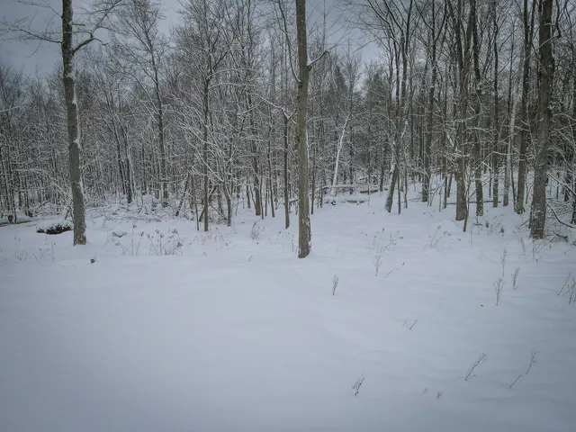 $229,900 | 4986 North Ridge Road, Pentwater, MI 49449