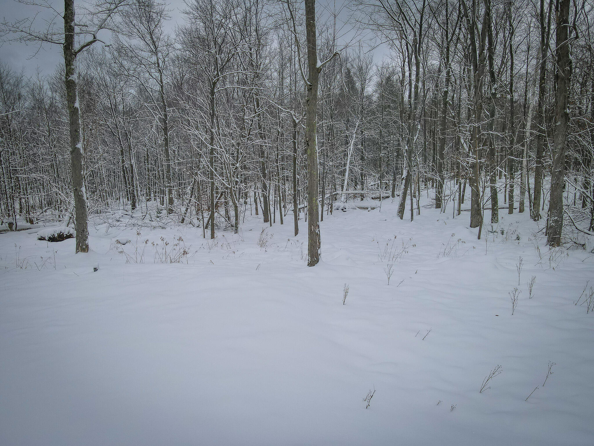 4986 North Ridge Road Pentwater, MI 49449 - Photo 11 of 32 DJI_0960