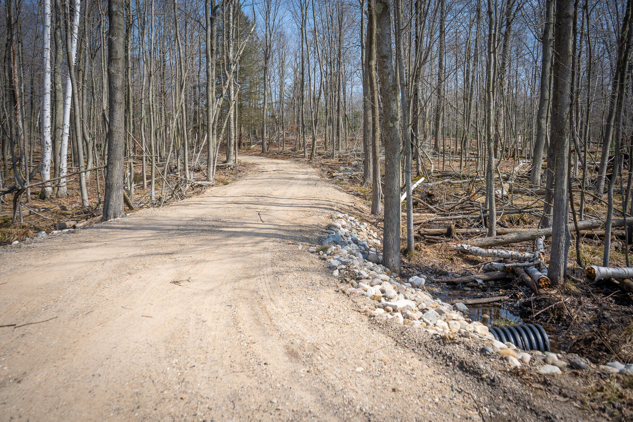 4986 North Ridge Road Pentwater, MI 49449 - Photo 11 of 53 DSC07975