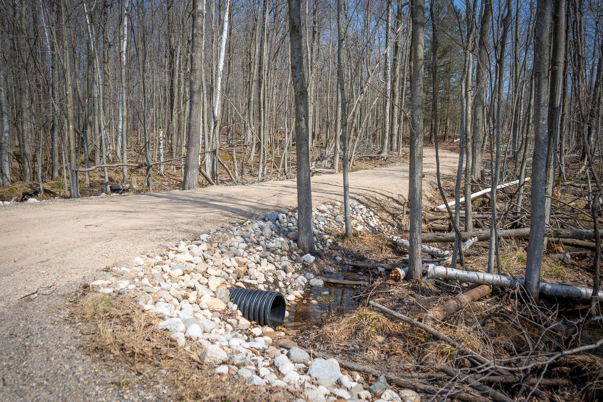 4986 North Ridge Road Pentwater, MI 49449 - Photo 15 of 53 DSC07974