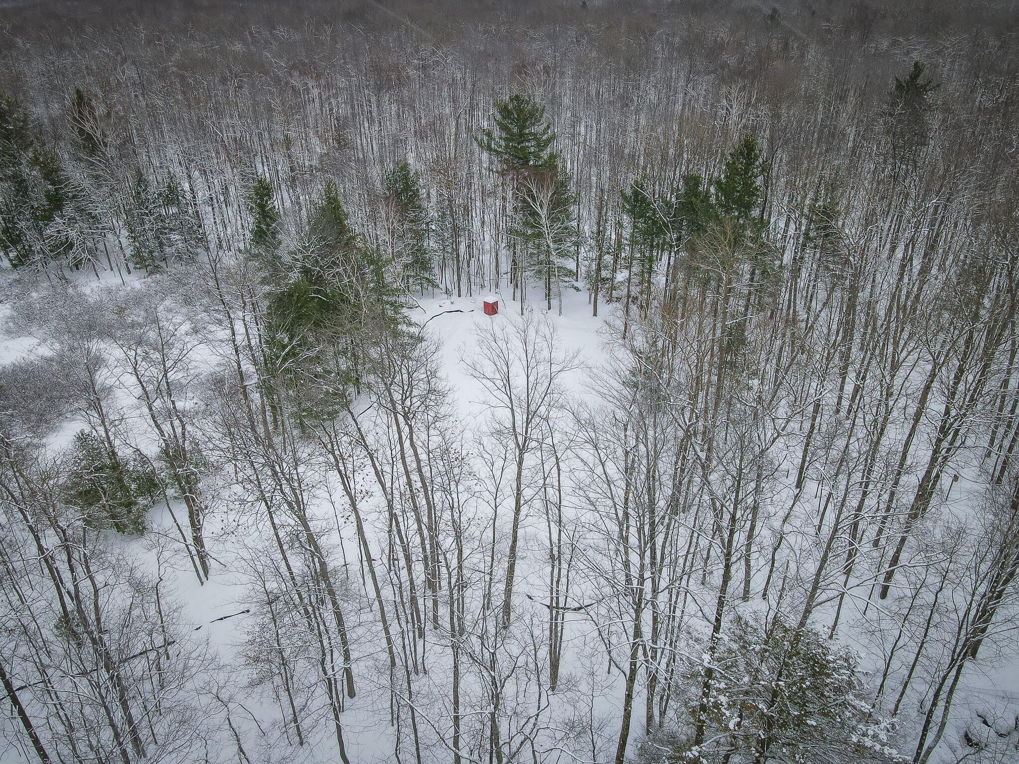 4986 North Ridge Road Pentwater, MI 49449 - Photo 15 of 32 DJI_0964