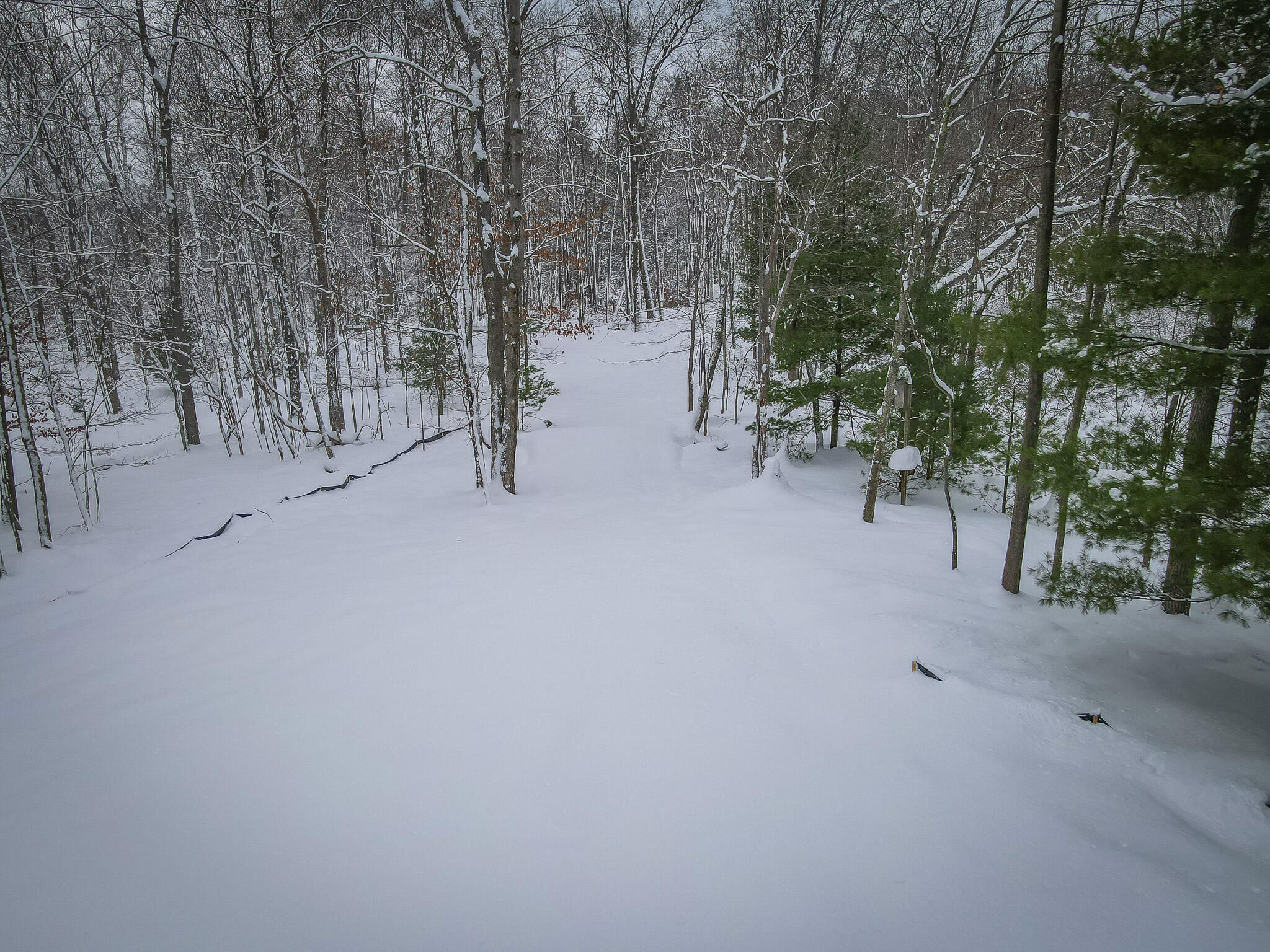 4986 North Ridge Road Pentwater, MI 49449 - Photo 17 of 32 DJI_0966