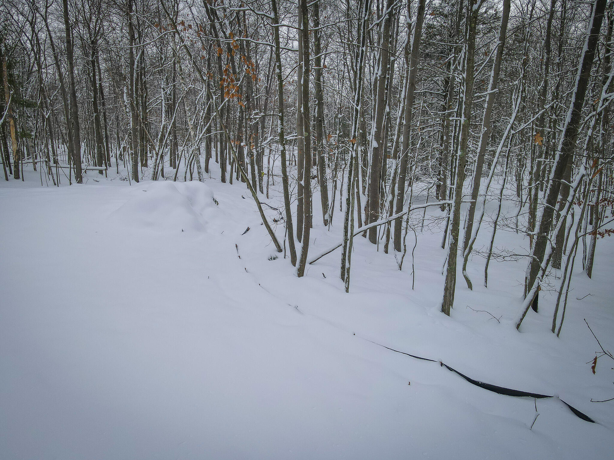 4986 North Ridge Road Pentwater, MI 49449 - Photo 19 of 32 DJI_0968