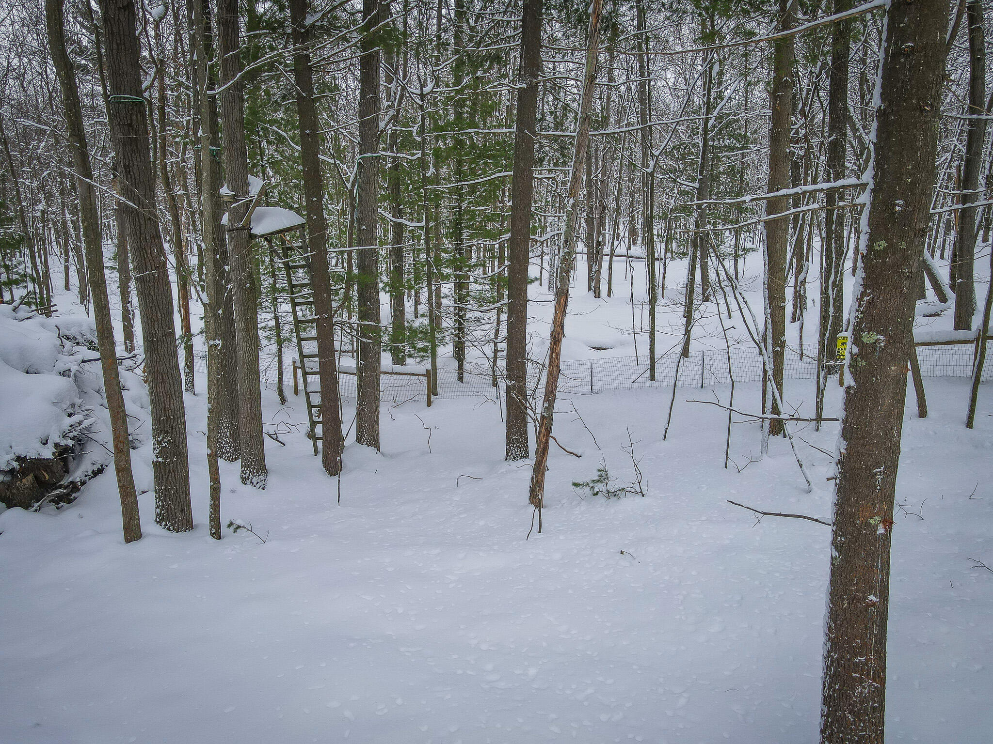 4986 North Ridge Road Pentwater, MI 49449 - Photo 20 of 32 DJI_0969