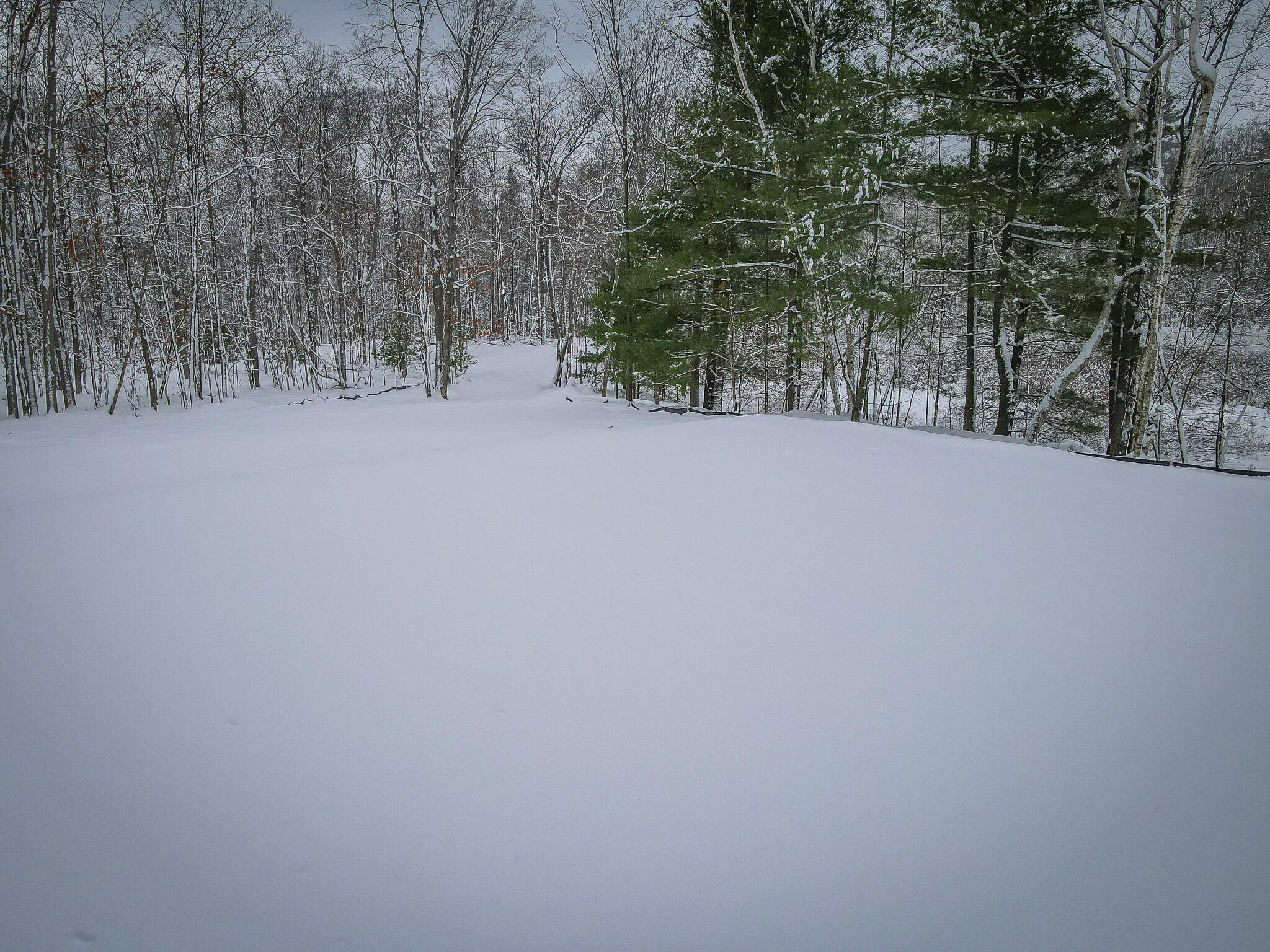 4986 North Ridge Road Pentwater, MI 49449 - Photo 21 of 32 DJI_0970