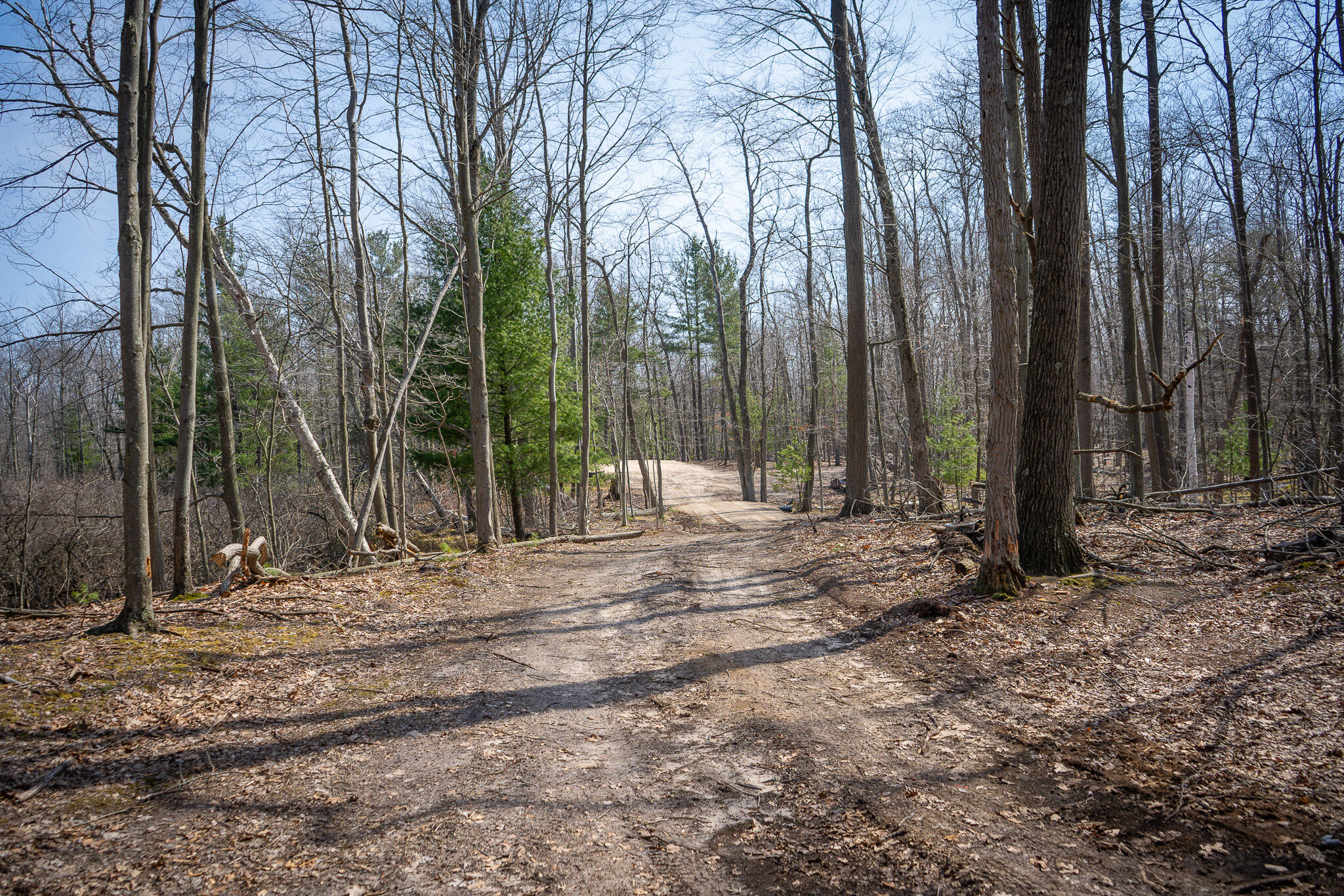 4986 North Ridge Road Pentwater, MI 49449 - Photo 22 of 53 DSC07978