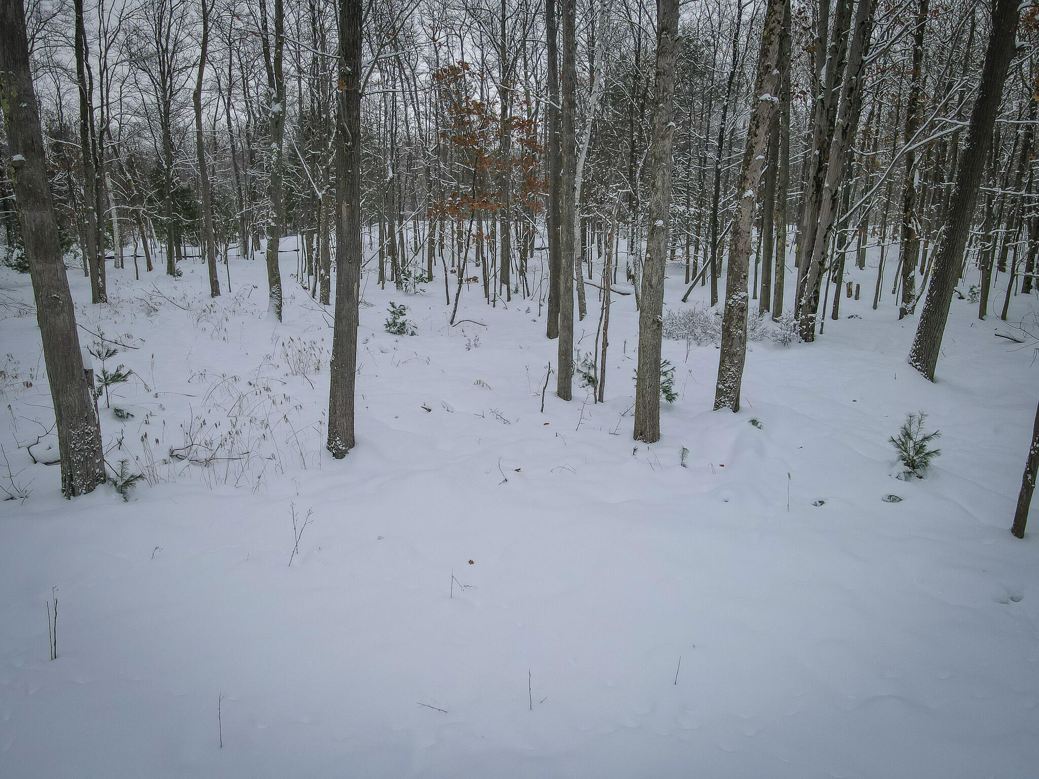 4986 North Ridge Road Pentwater, MI 49449 - Photo 23 of 32 DJI_0972