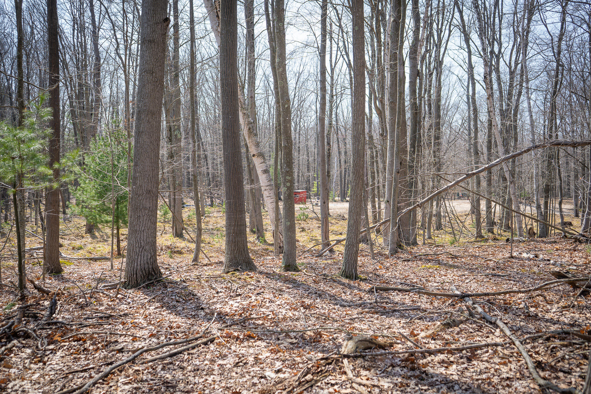 4986 North Ridge Road Pentwater, MI 49449 - Photo 23 of 53 DSC07979