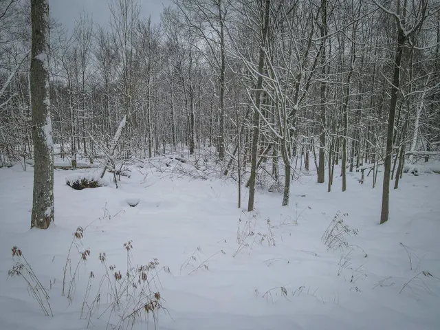 $229,900 | 4986 North Ridge Road, Pentwater, MI 49449