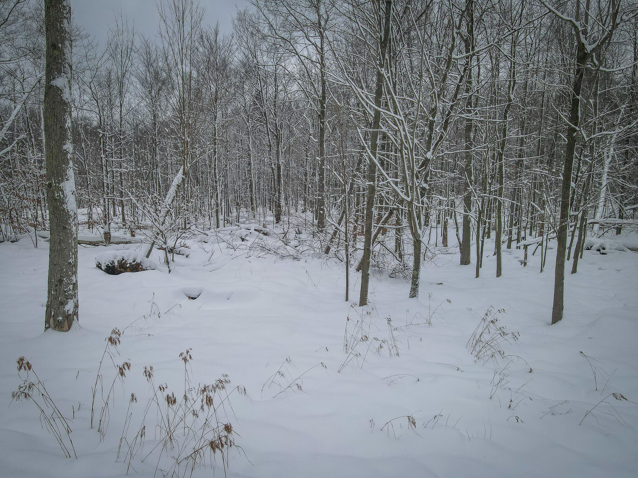 4986 North Ridge Road Pentwater, MI 49449 - Photo 26 of 32 DJI_0975