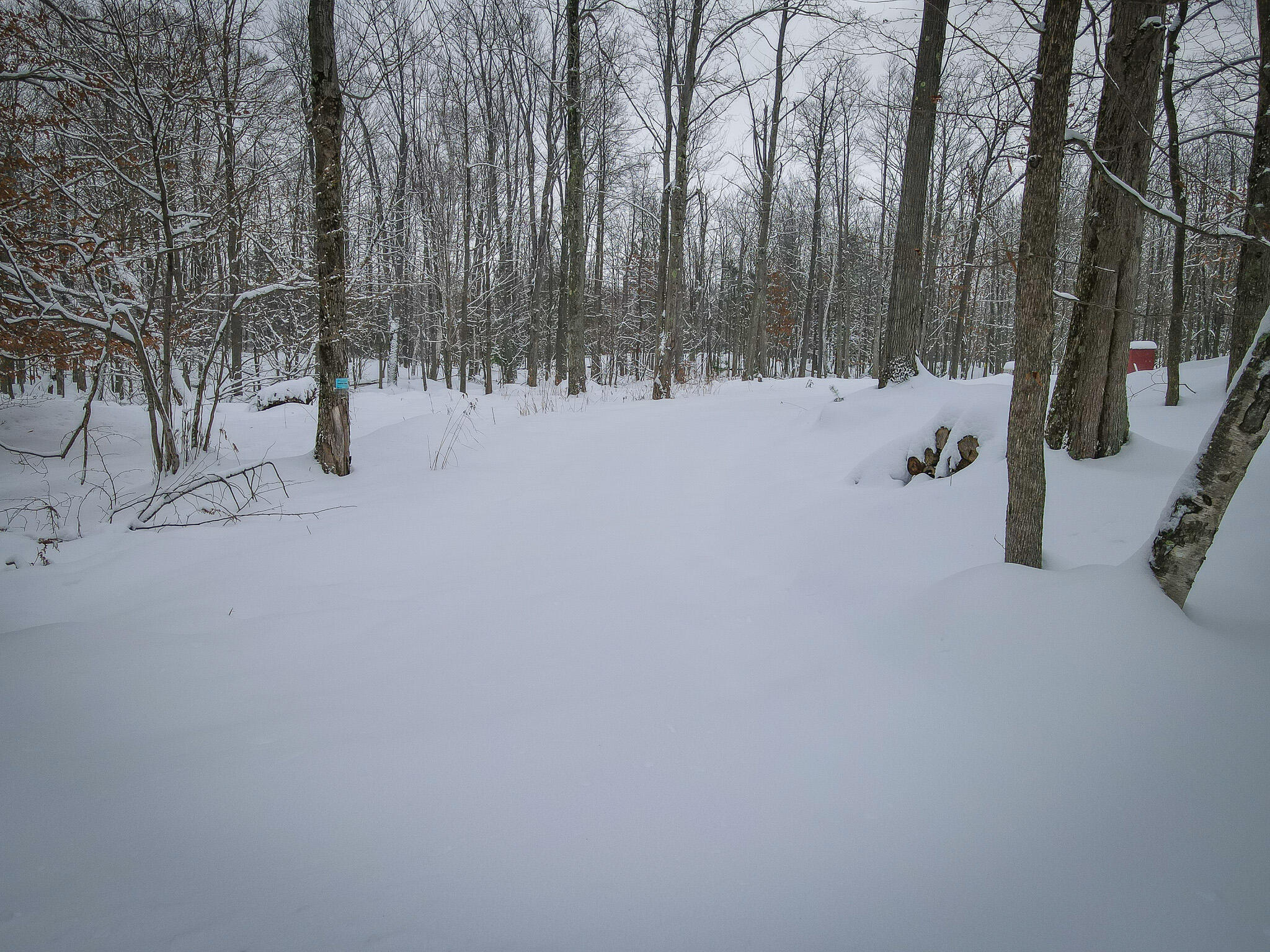 4986 North Ridge Road Pentwater, MI 49449 - Photo 27 of 32 DJI_0976