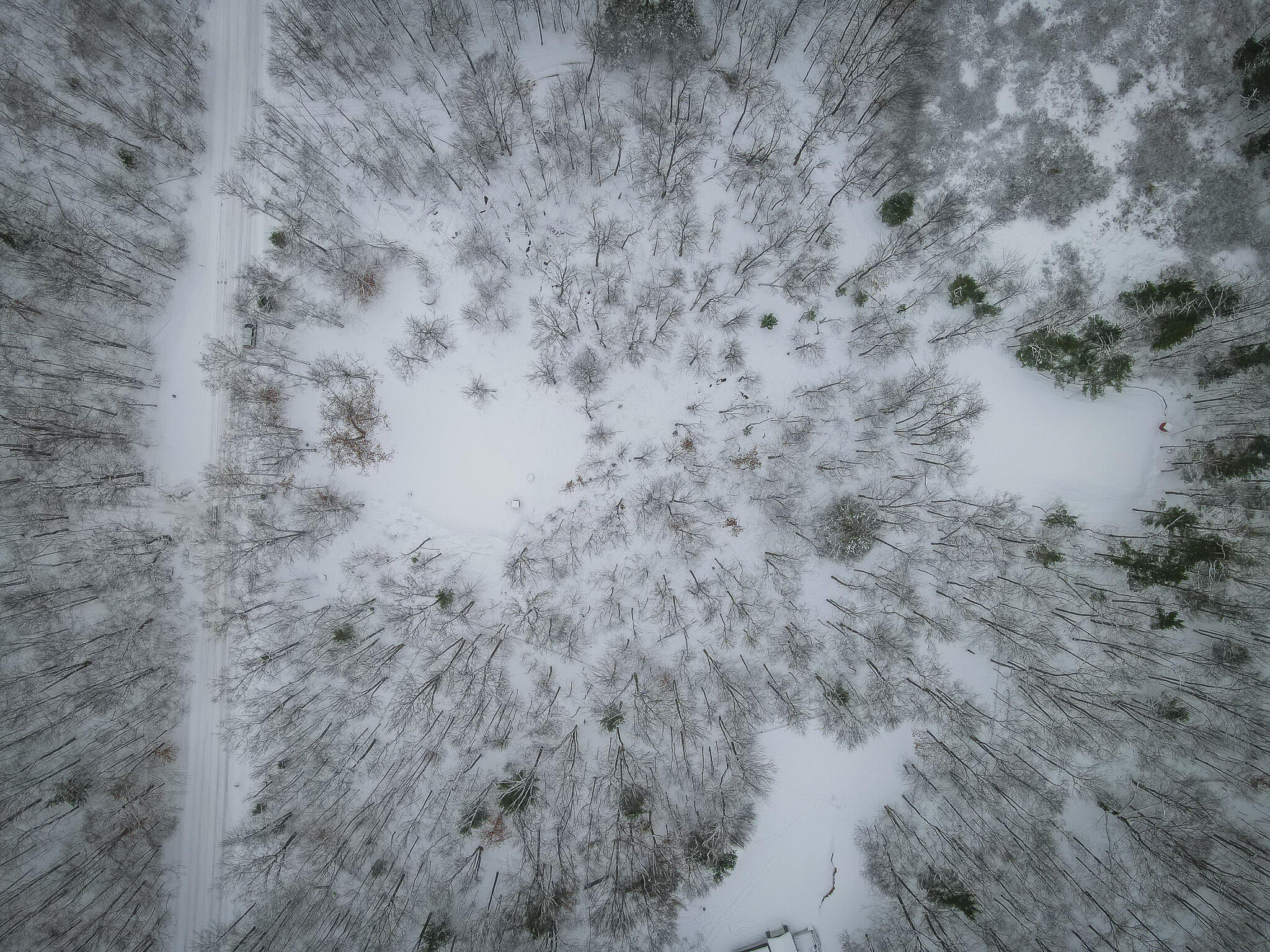 4986 North Ridge Road Pentwater, MI 49449 - Photo 29 of 32 DJI_0978