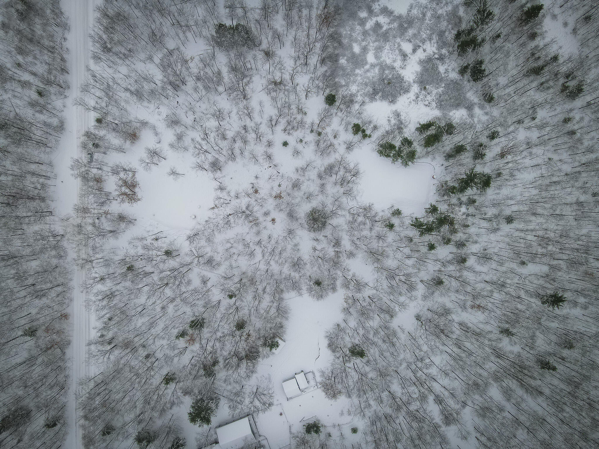 4986 North Ridge Road Pentwater, MI 49449 - Photo 30 of 32 DJI_0979