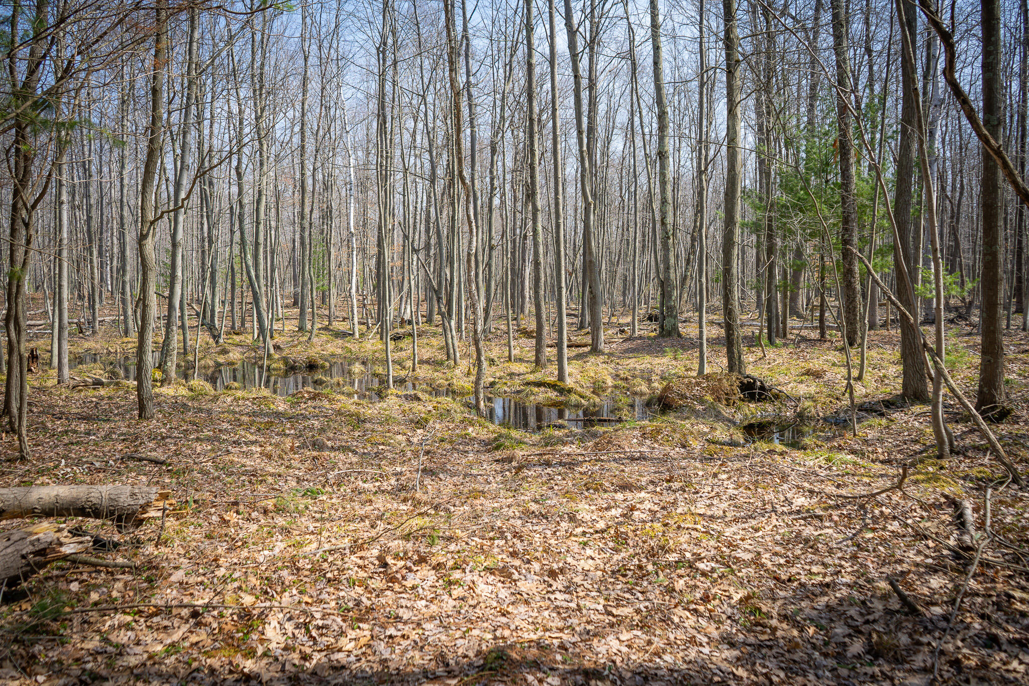 4986 North Ridge Road Pentwater, MI 49449 - Photo 30 of 53 DSC07986