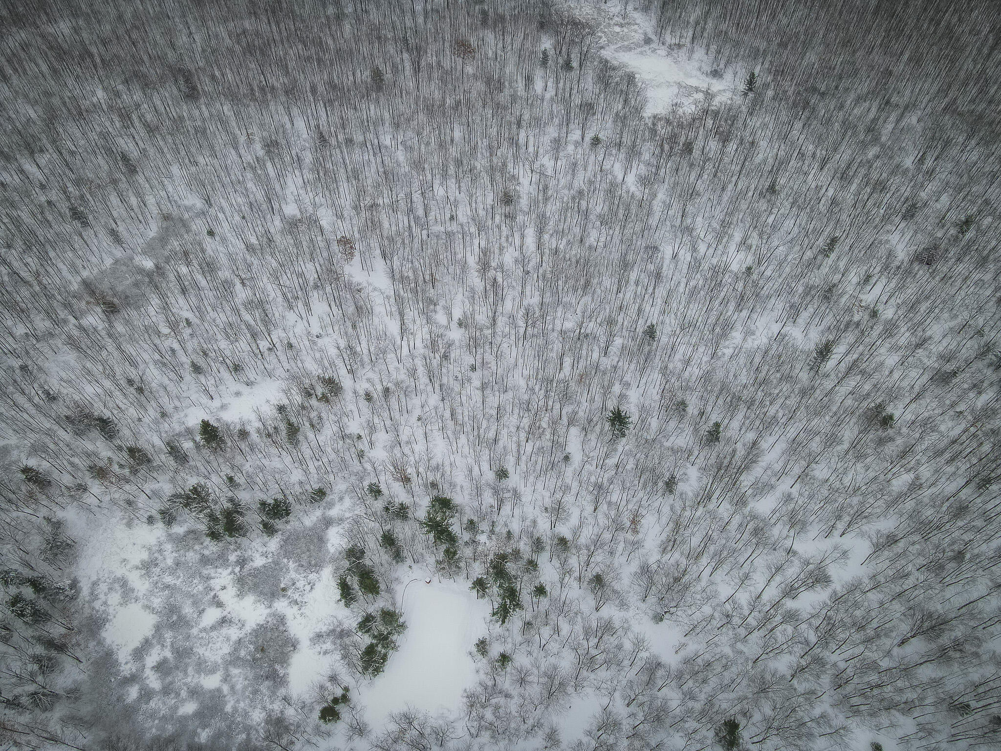 4986 North Ridge Road Pentwater, MI 49449 - Photo 31 of 32 DJI_0980