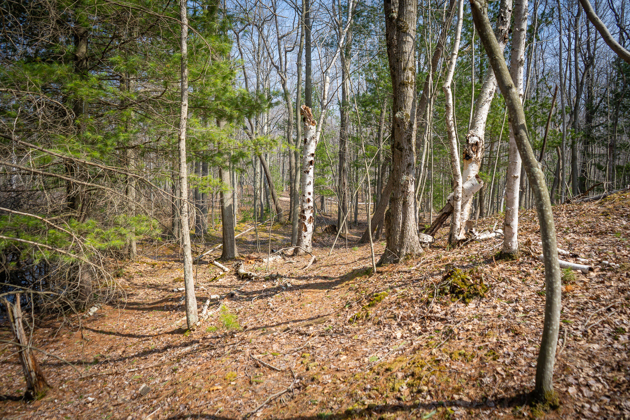 4986 North Ridge Road Pentwater, MI 49449 - Photo 31 of 53 DSC07983