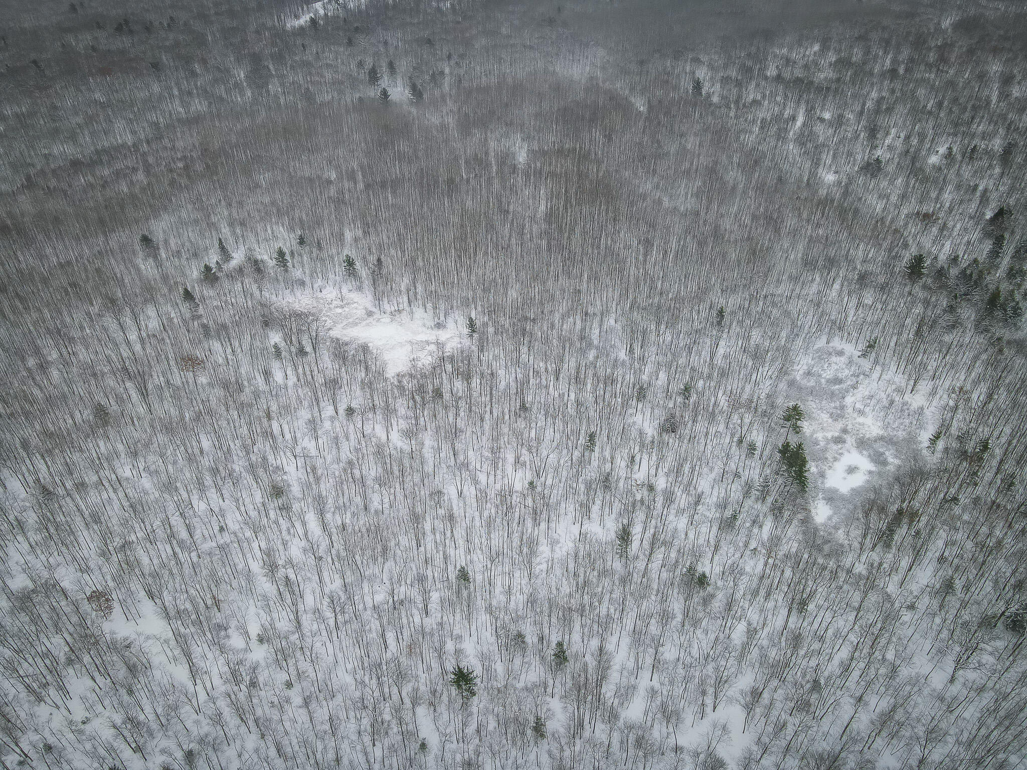 4986 North Ridge Road Pentwater, MI 49449 - Photo 32 of 32 DJI_0981