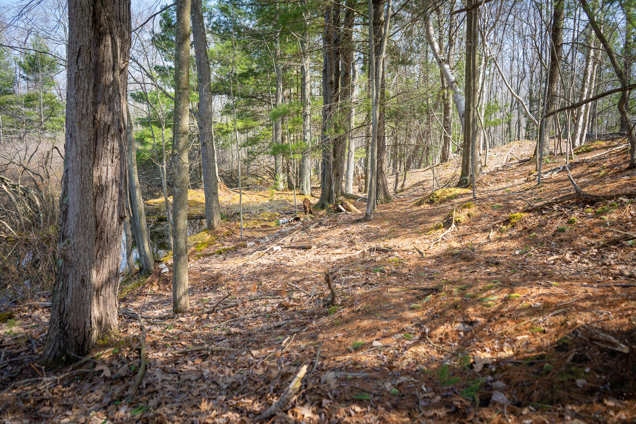 4986 North Ridge Road Pentwater, MI 49449 - Photo 32 of 53 DSC07982