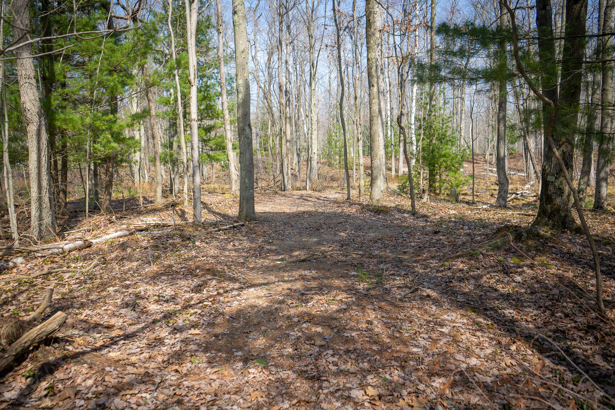 4986 North Ridge Road Pentwater, MI 49449 - Photo 33 of 53 DSC07987